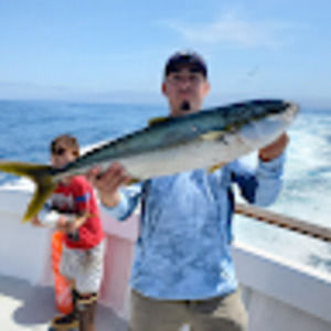 Meet your Posher, Peter